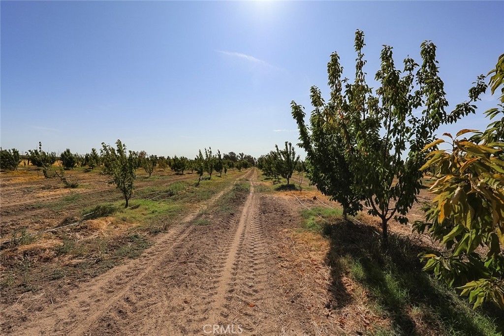 23652 Road 18 3/4 Property Photo 51