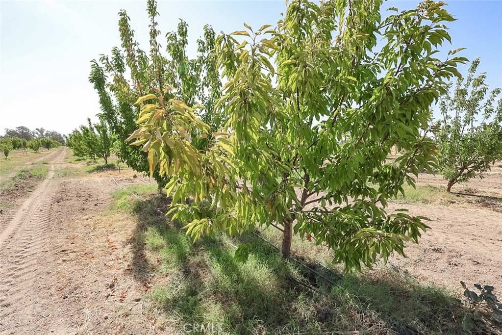 23652 Road 18 3/4 Property Photo 52