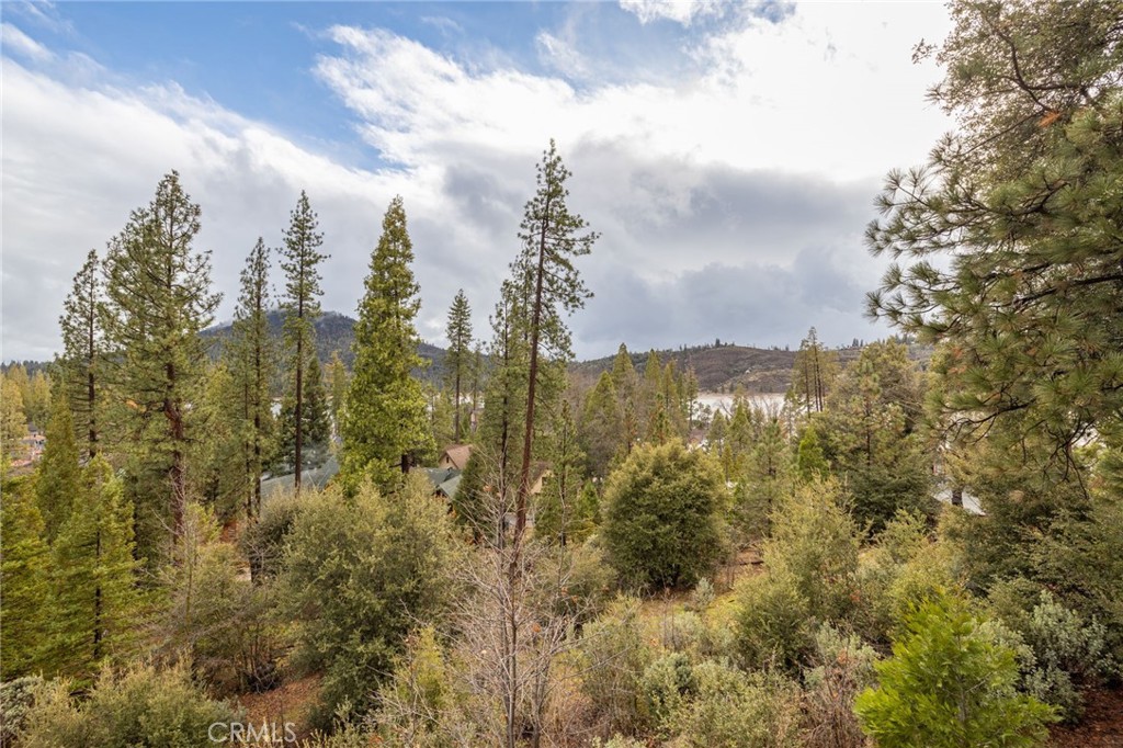 39818 Granite Ridge Property Photo 3