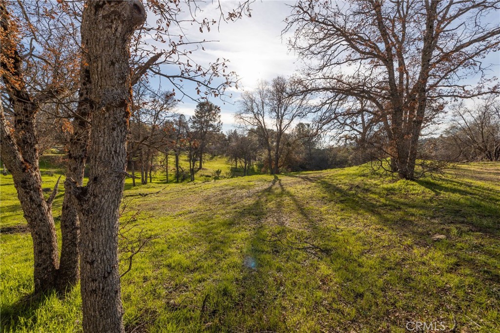 33940 Jennifer Way Property Photo 42