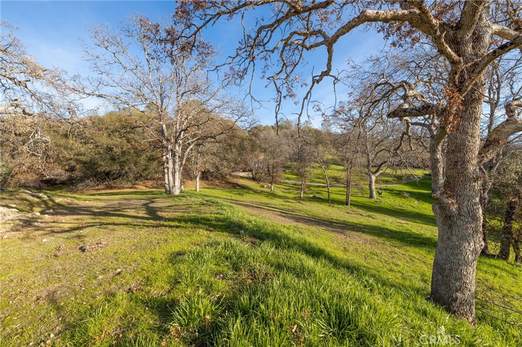 33940 Jennifer Way Property Photo 43
