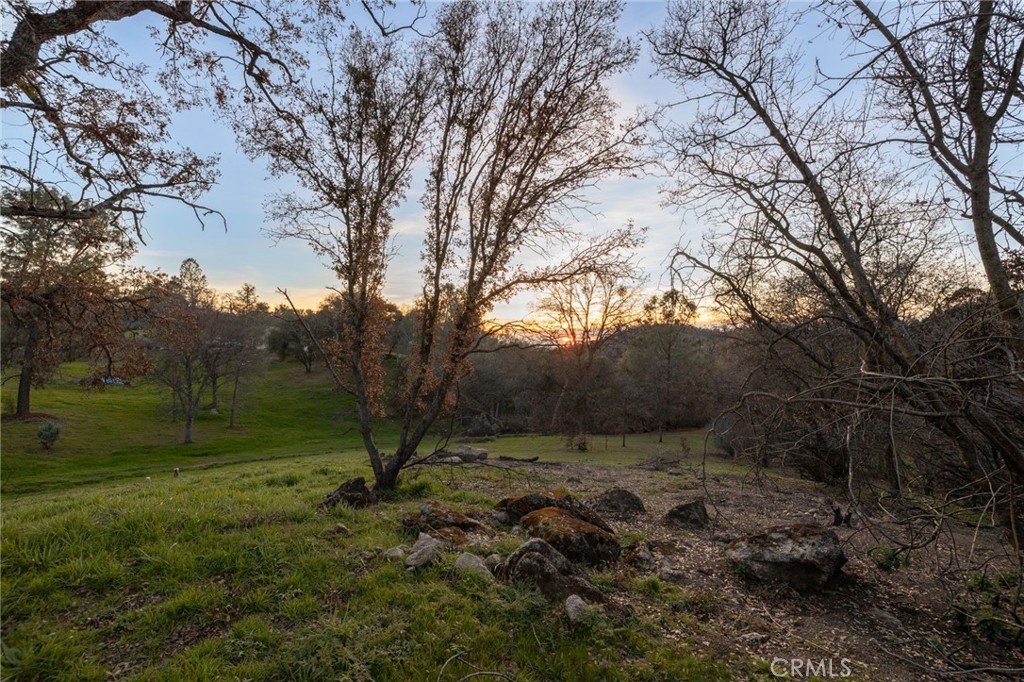 33940 Jennifer Way Property Photo 54