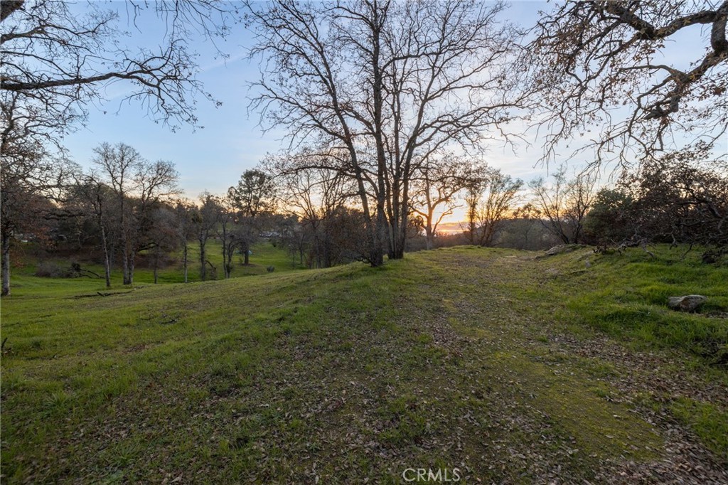33940 Jennifer Way Property Photo 55