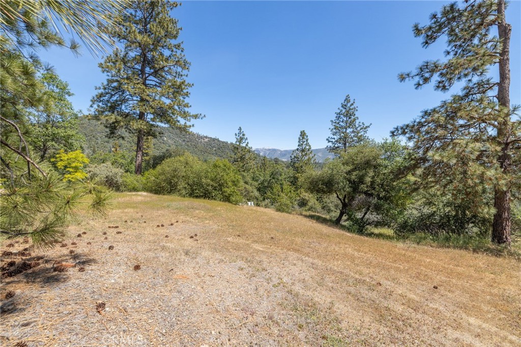 54481 Pinchot Dr. Property Photo 58