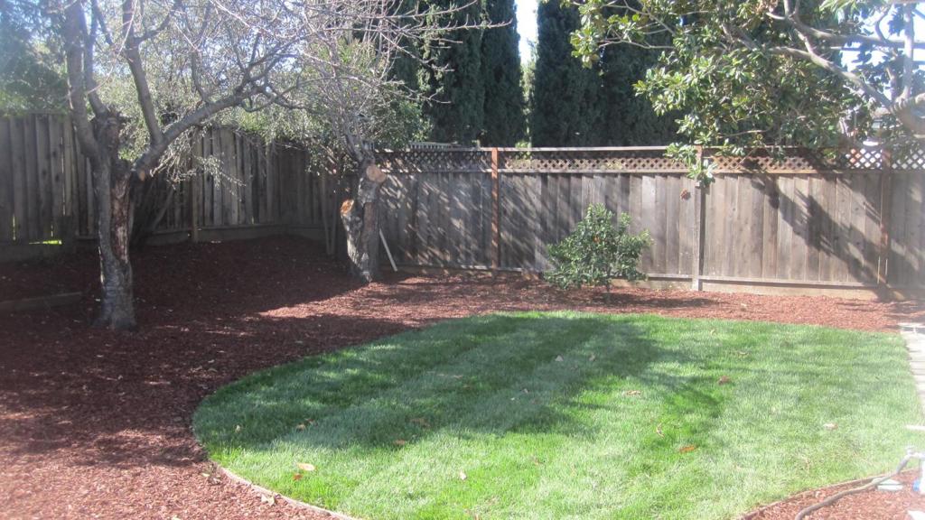ML81453507 Property Photo 22