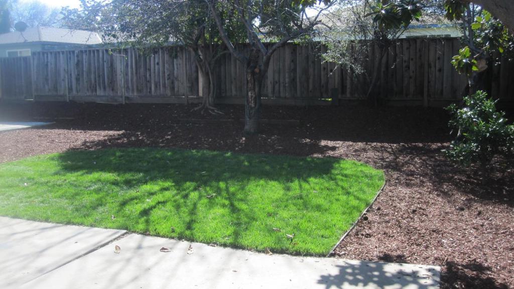ML81453507 Property Photo 23