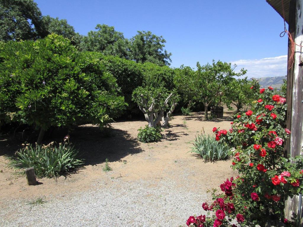 2025 Pacheco Pass Highway Property Photo 20