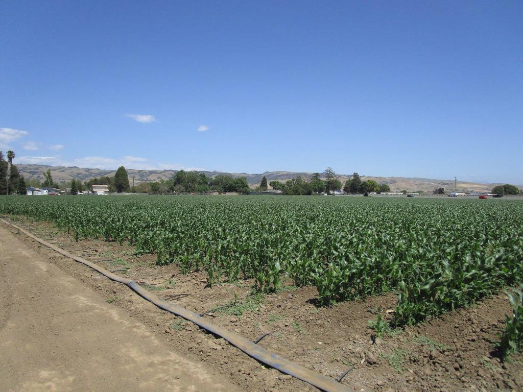 2025 Pacheco Pass Highway Property Photo 25