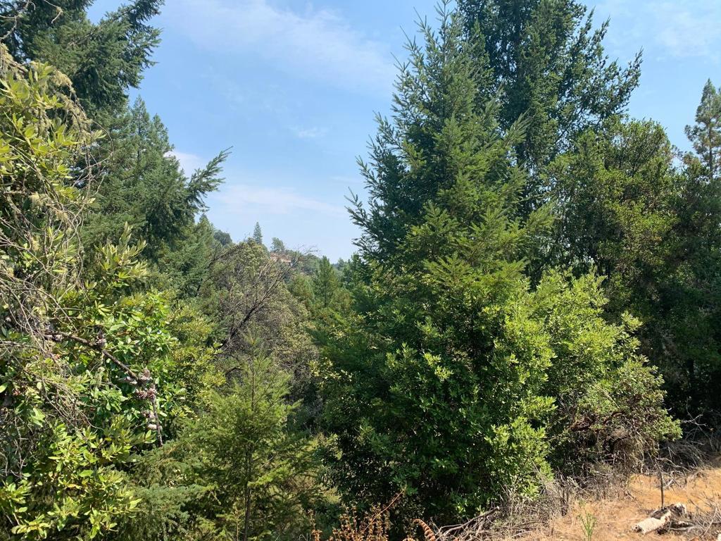 950 Middleton Drive Property Photo 1