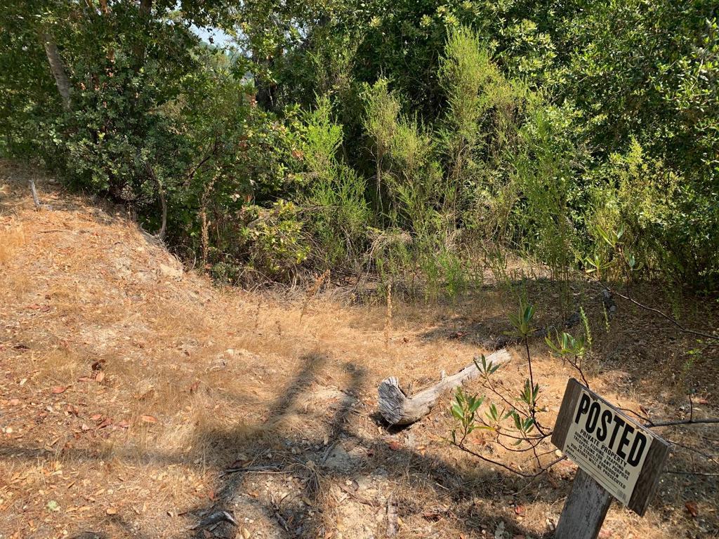 950 Middleton Drive Property Photo 3