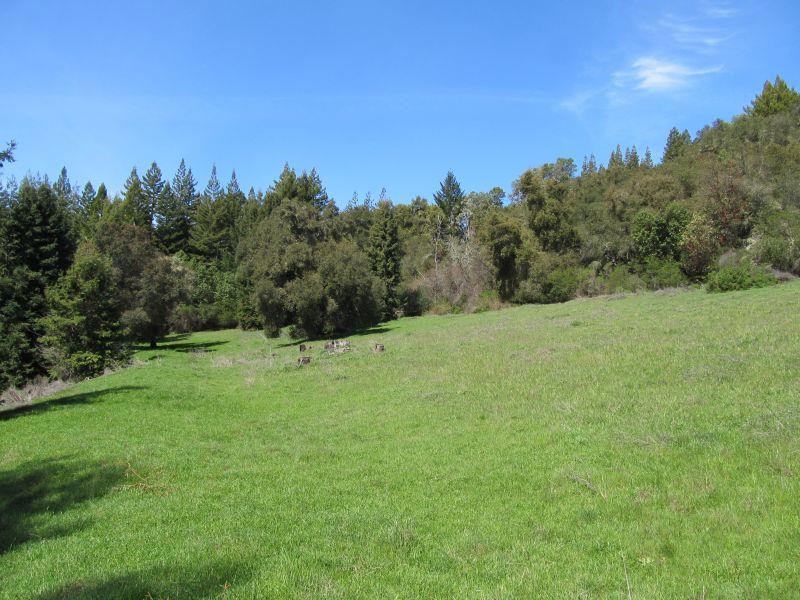 0 Two Bar Road Property Photo 14