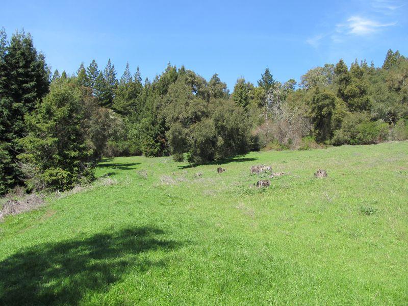 0 Two Bar Road Property Photo 16