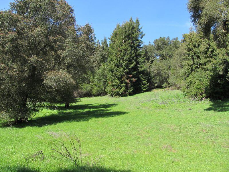 0 Two Bar Road Property Photo 18