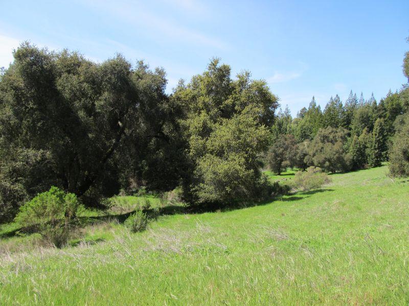 0 Two Bar Road Property Photo 30