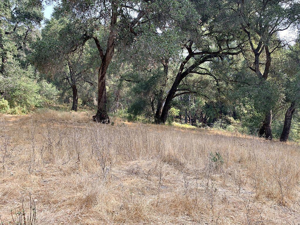 0 Two Bar Road Property Photo 33