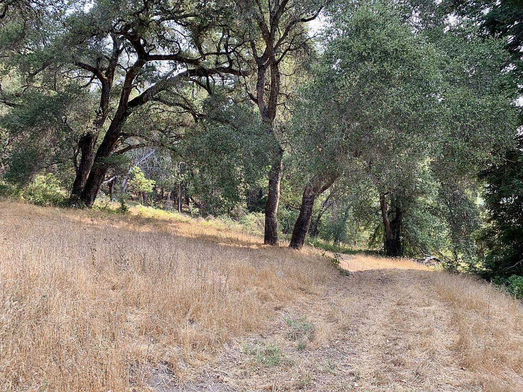 0 Two Bar Road Property Photo 34