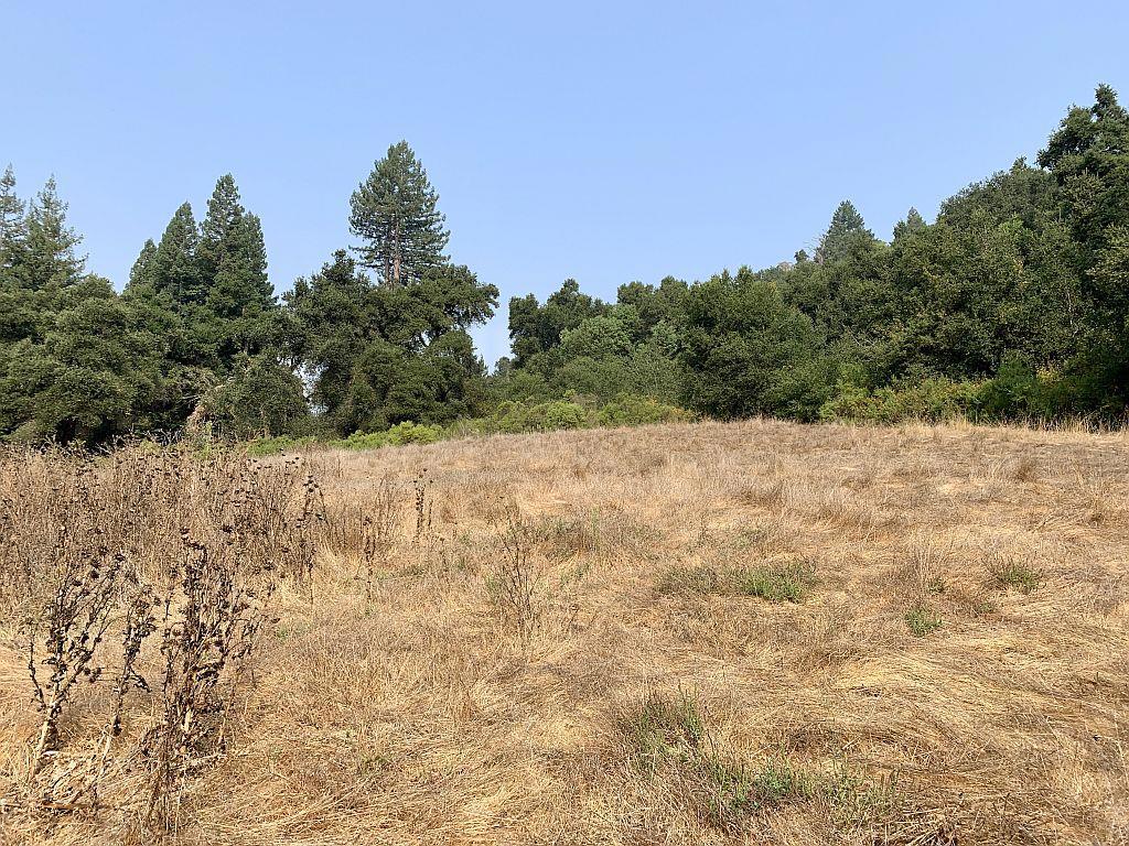 0 Two Bar Road Property Photo 43