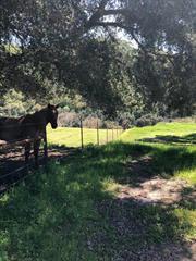 53700 Pine Canyon Road Property Photo 32