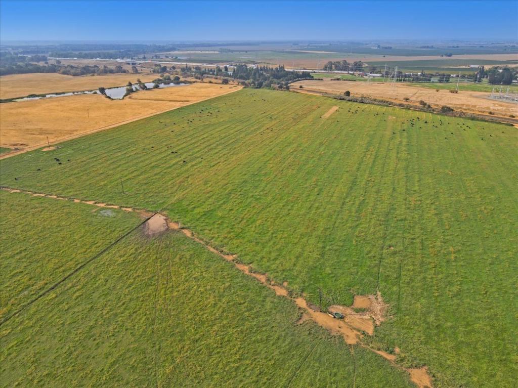 10351 Grant Line Road Property Photo 4