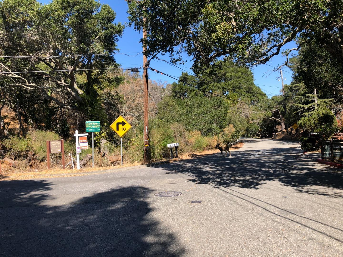 ML81867720 Property Photo 10