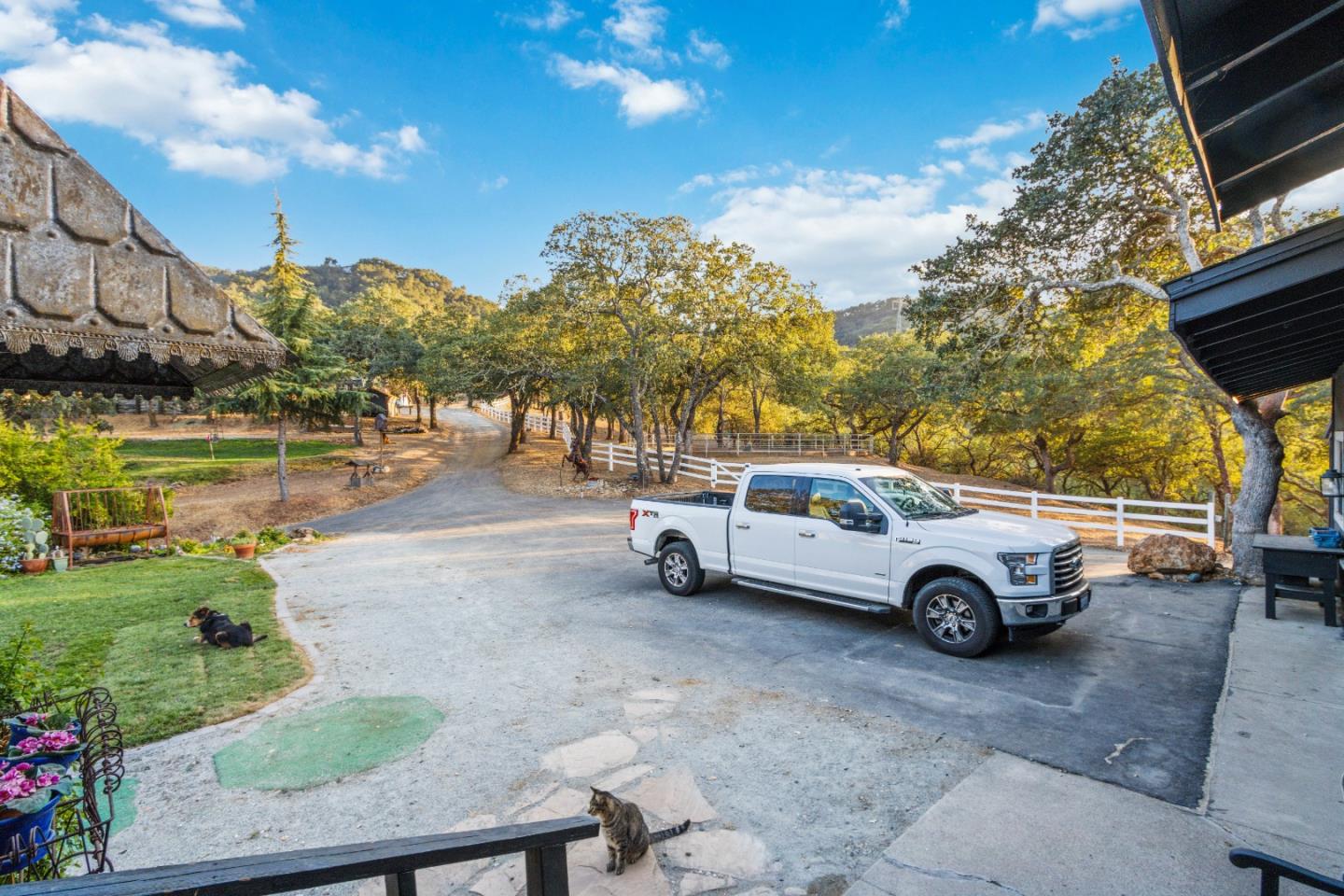 ML81868294 Property Photo 58