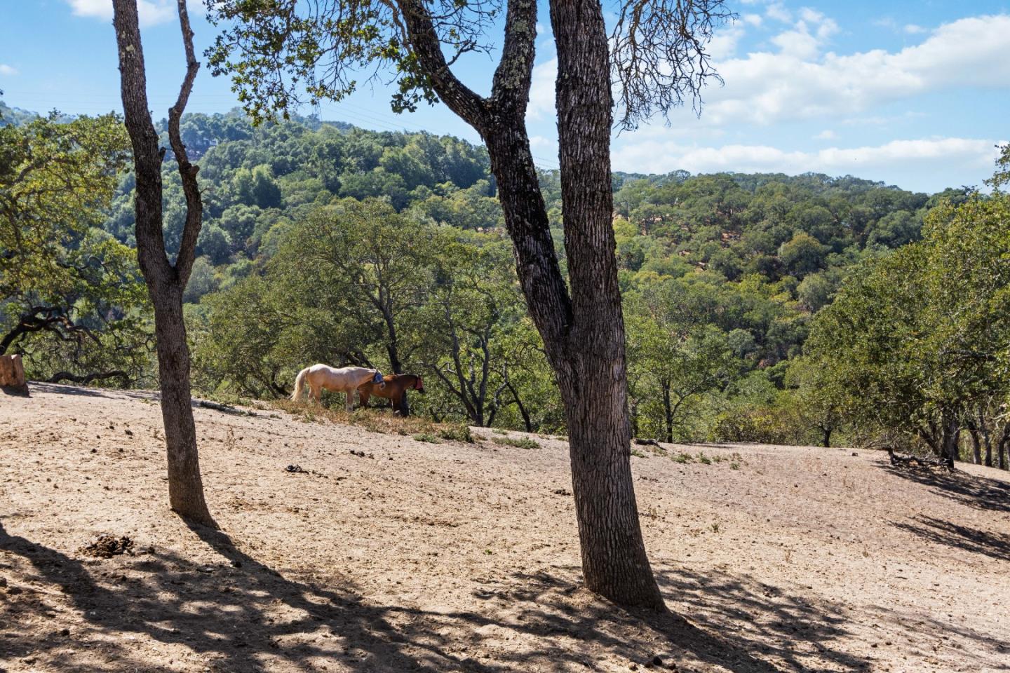ML81868294 Property Photo 98