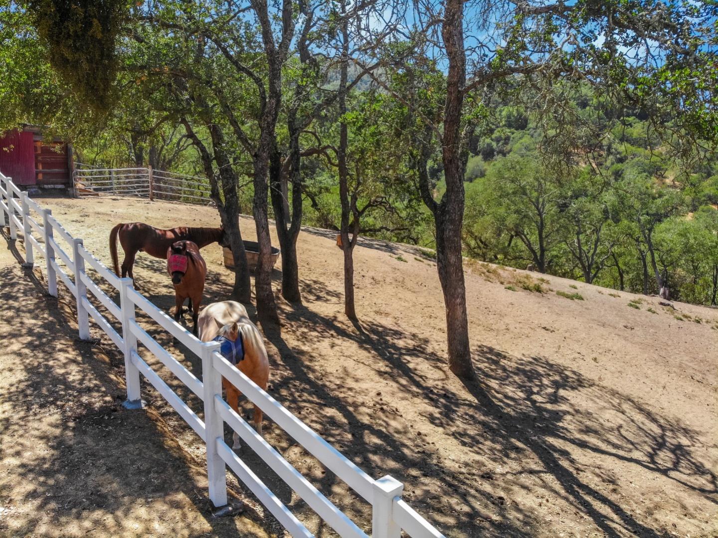 ML81868294 Property Photo 104