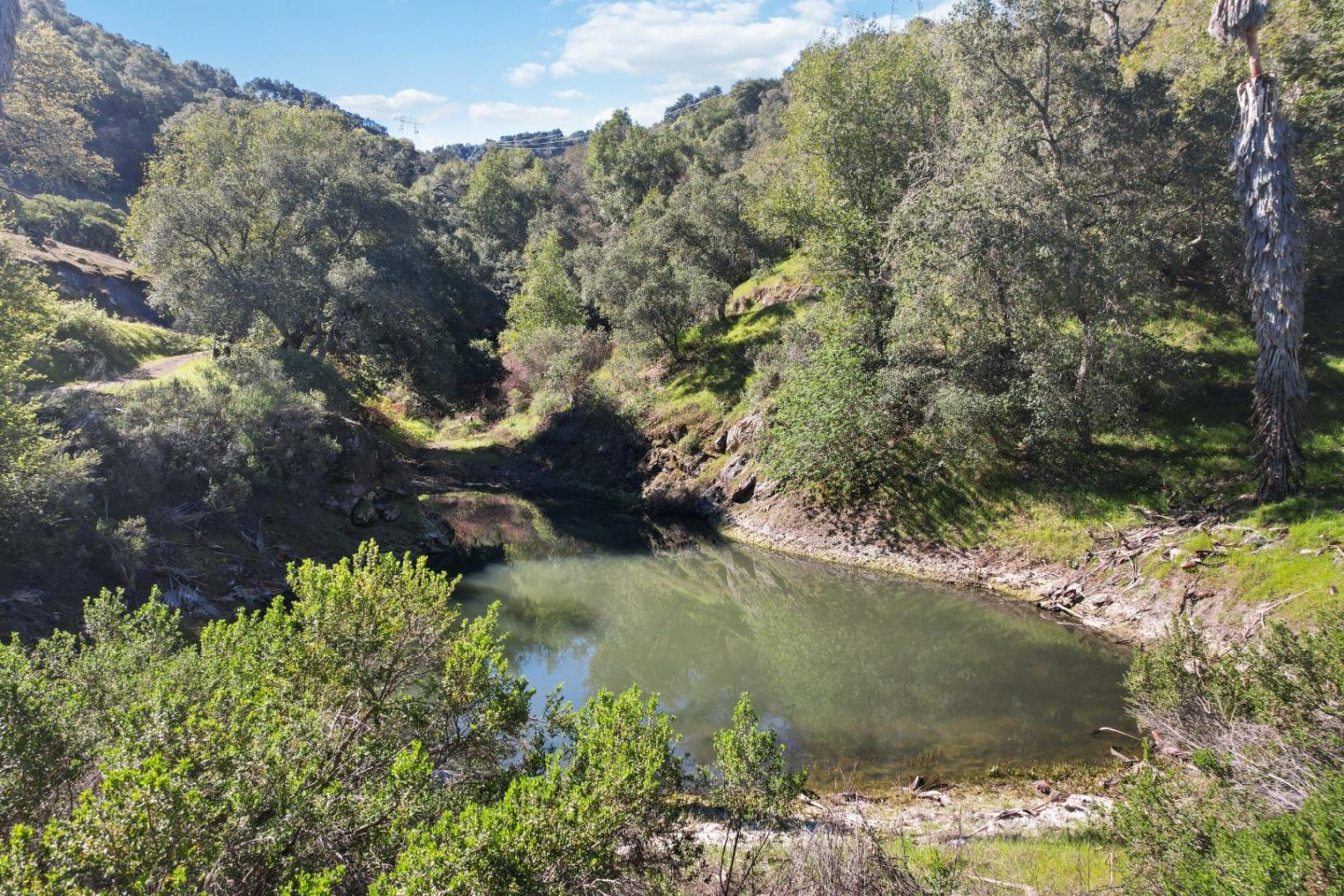 ML81868294 Property Photo 126