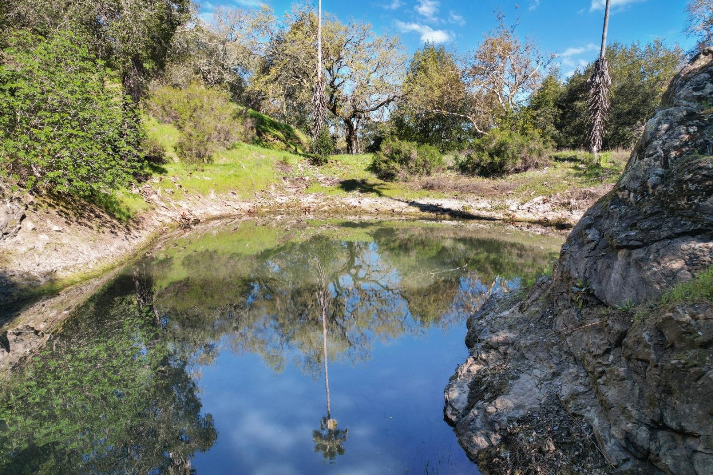 ML81868294 Property Photo 127