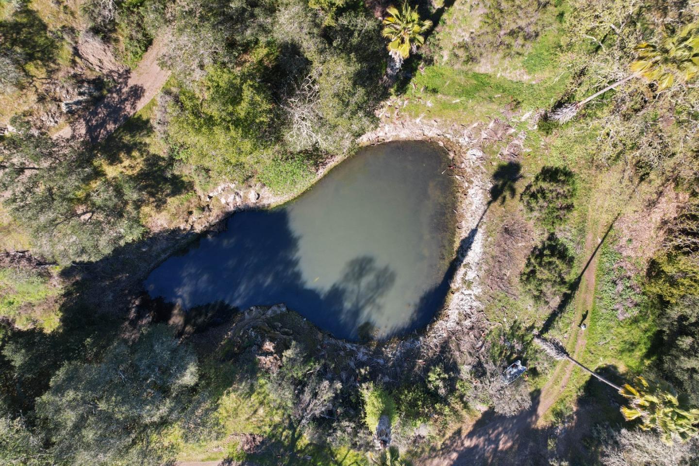 ML81868294 Property Photo 128