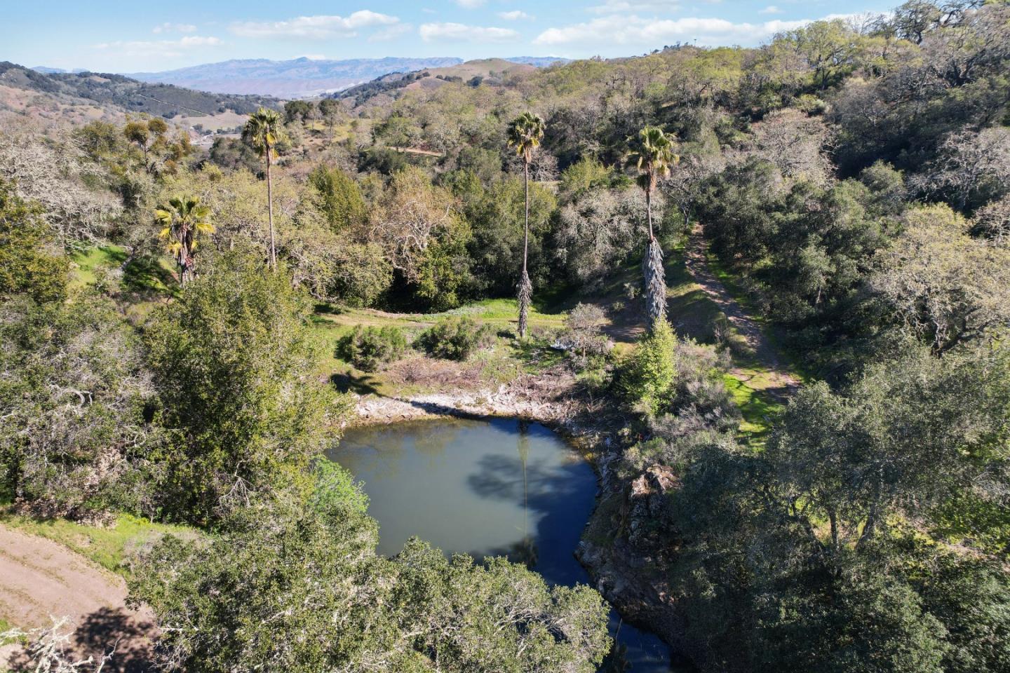 ML81868294 Property Photo 129