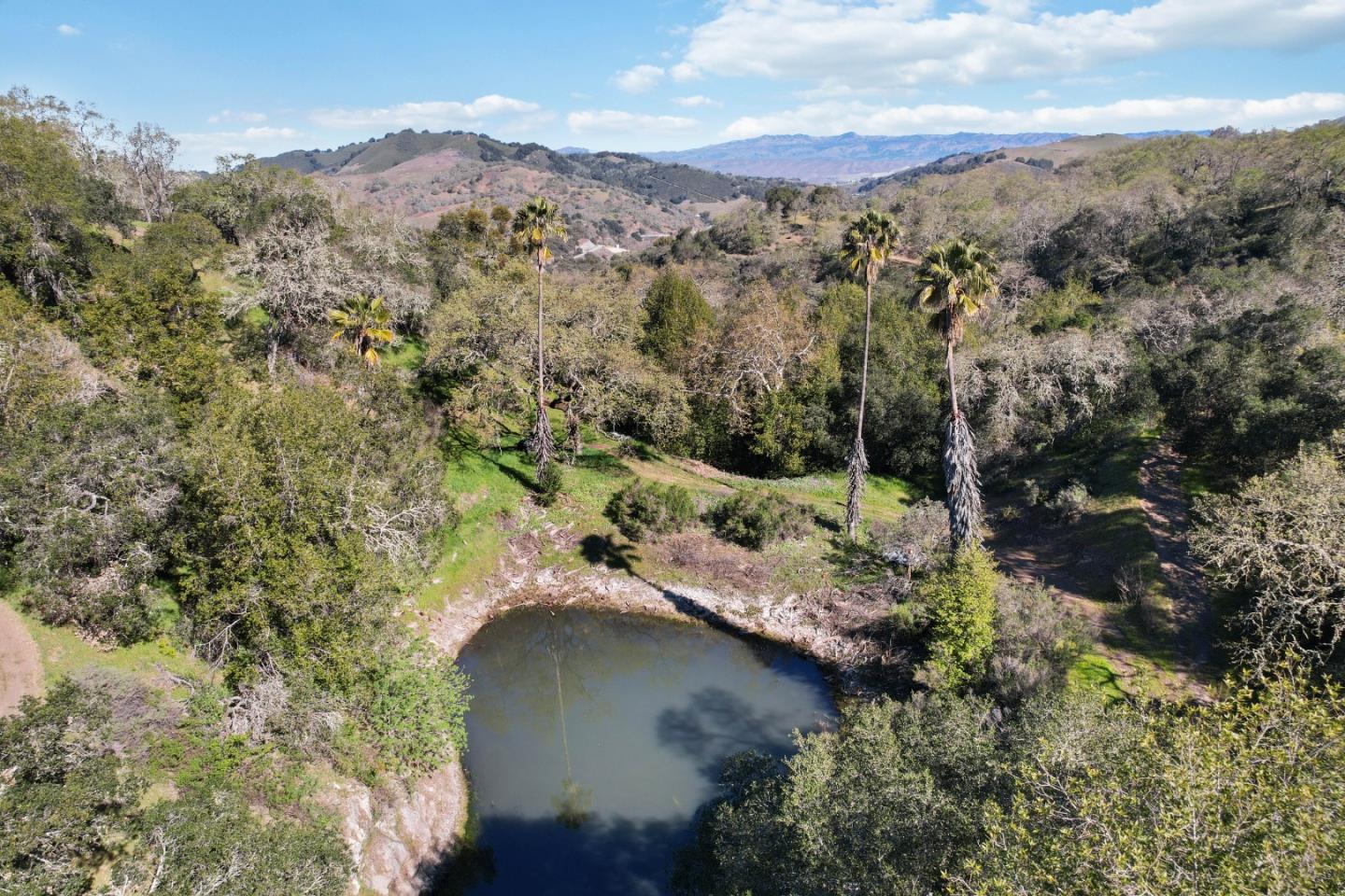ML81868294 Property Photo 130