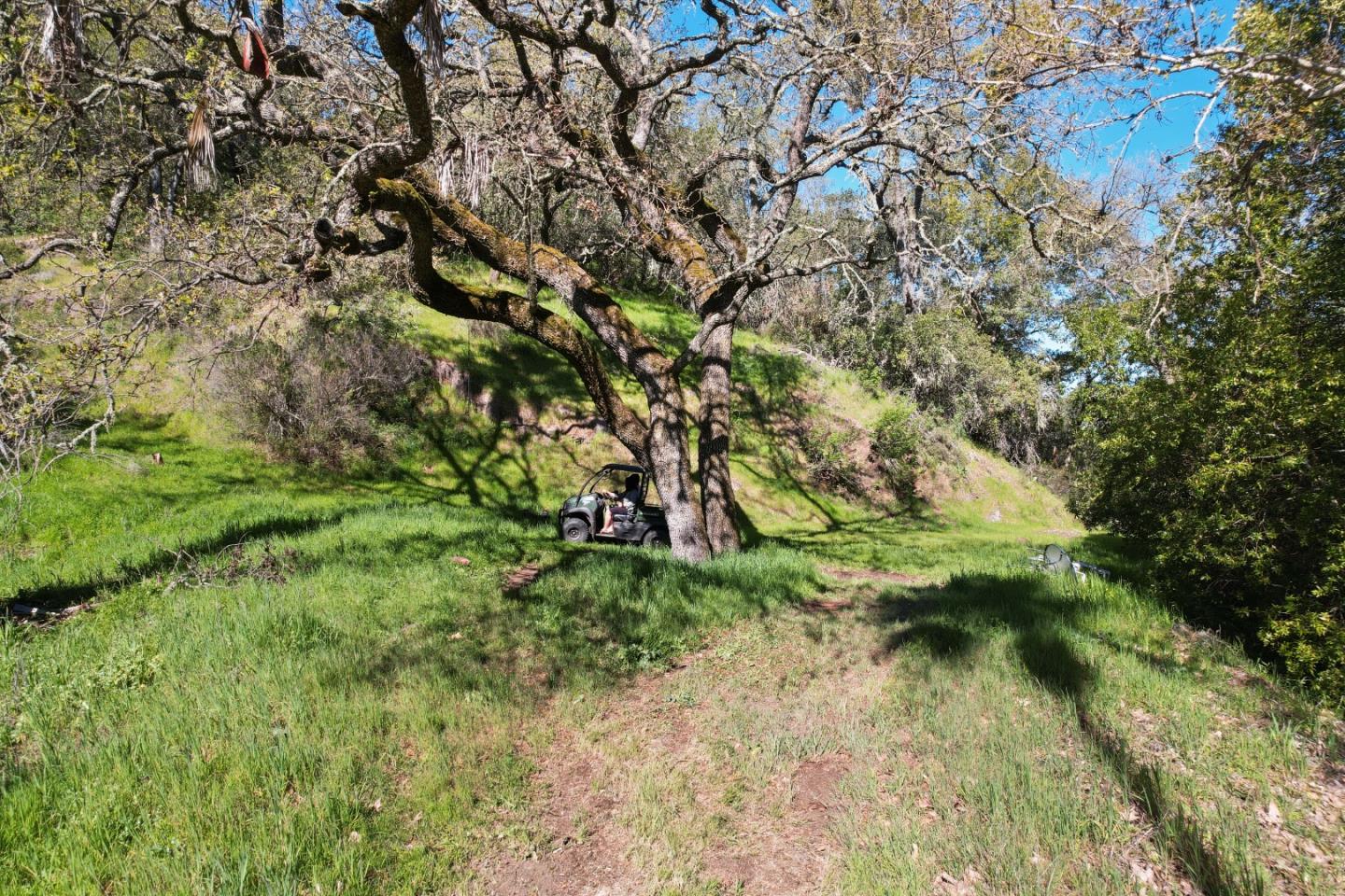 ML81868294 Property Photo 131