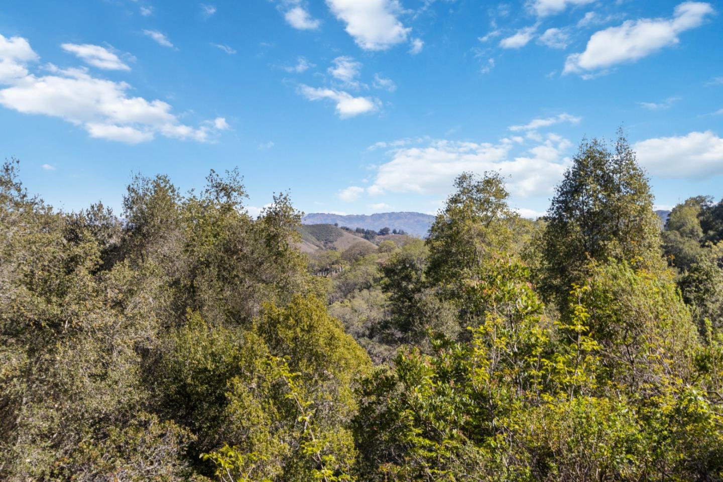 ML81868294 Property Photo 147