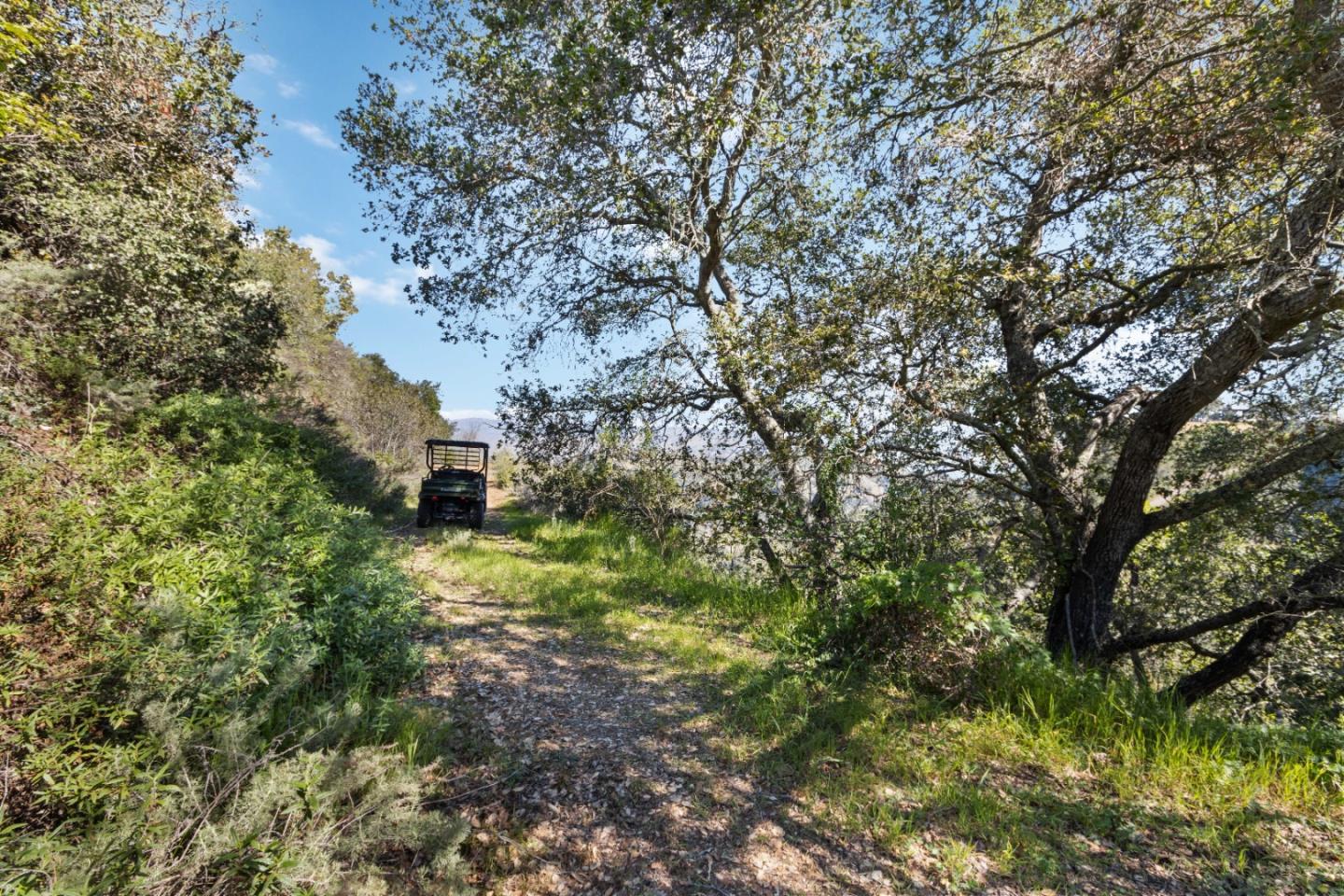 ML81868294 Property Photo 148