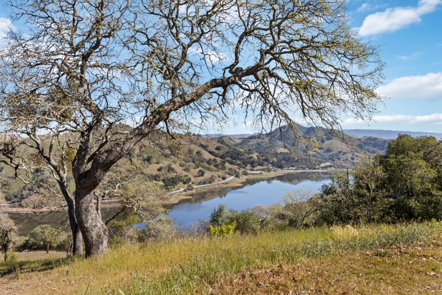 ML81868294 Property Photo 153