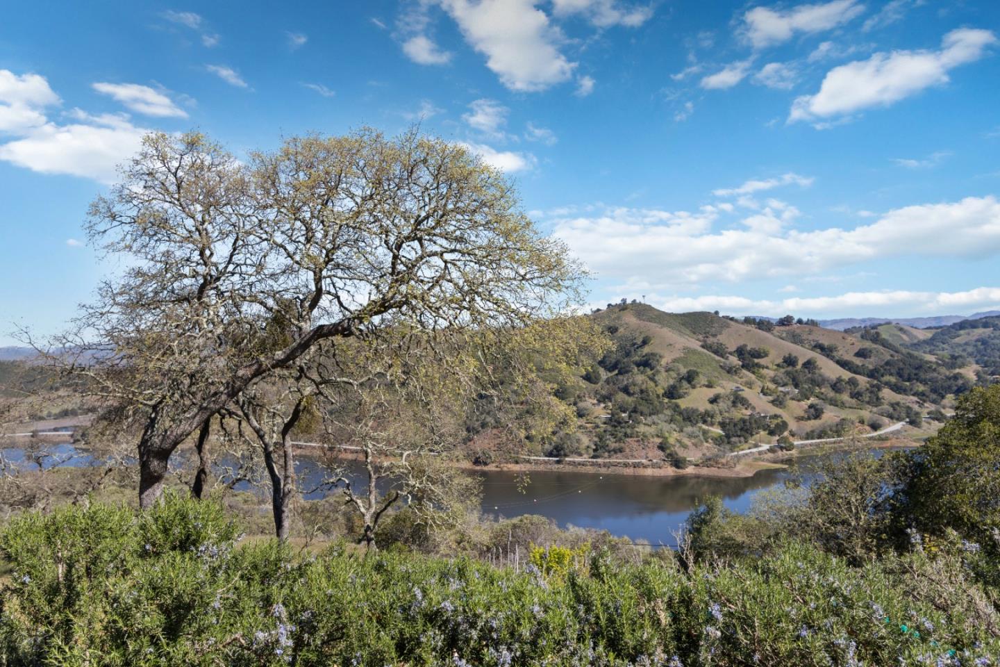 ML81868294 Property Photo 158