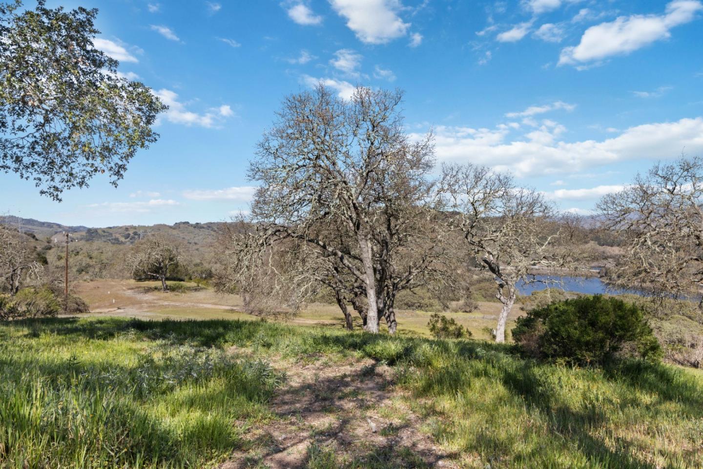 ML81868294 Property Photo 159