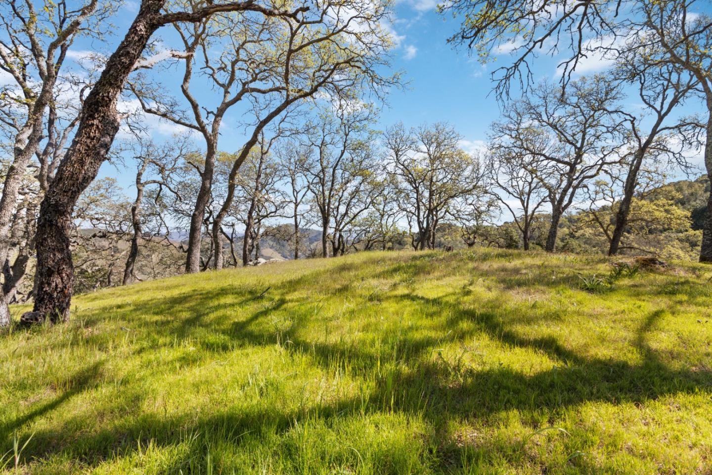 ML81868294 Property Photo 171