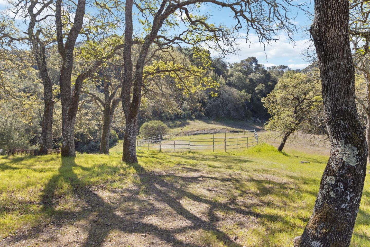 ML81868294 Property Photo 172
