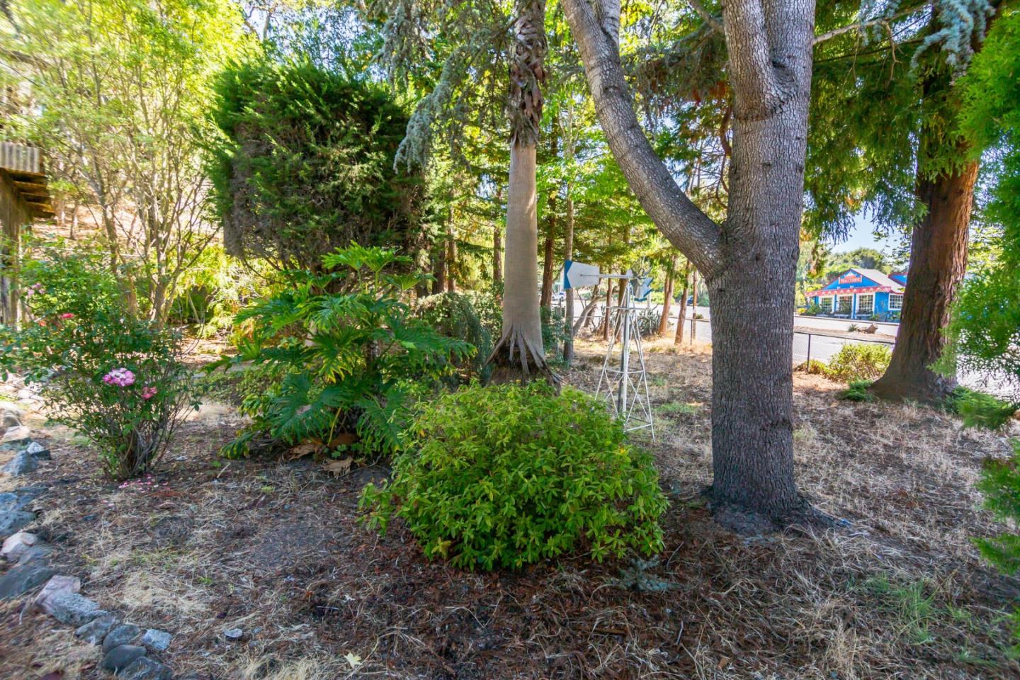 5035 Soquel Drive Property Photo 11