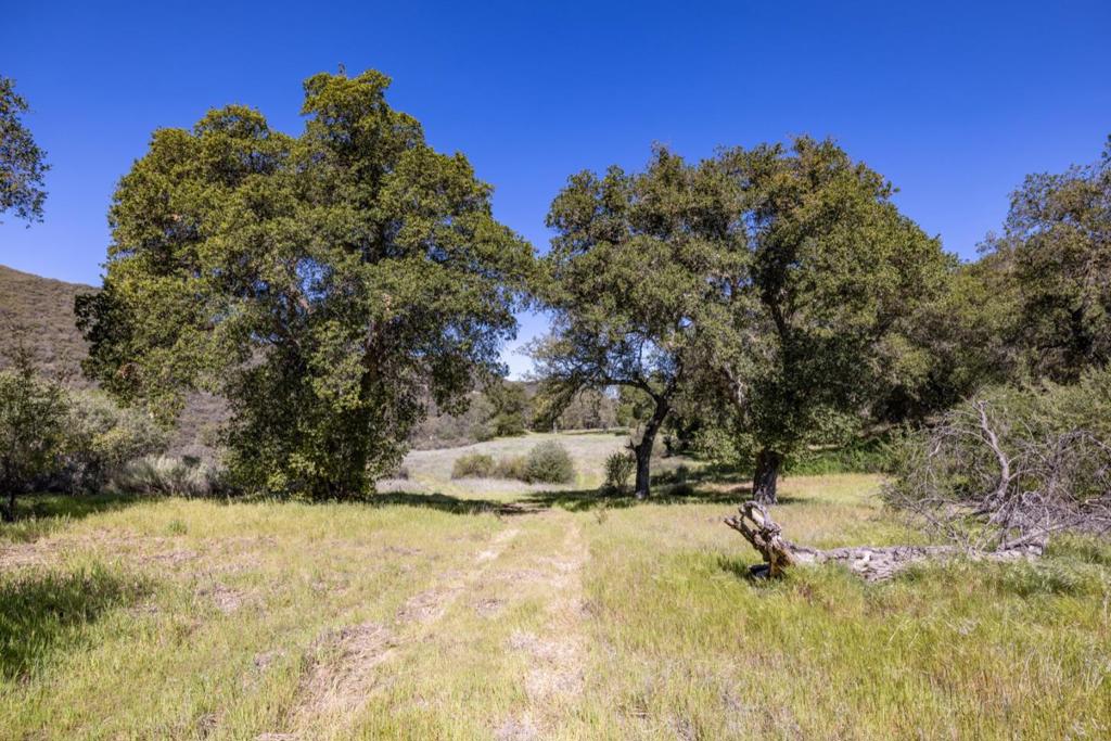 43515 Carmel Valley Road Property Photo 9