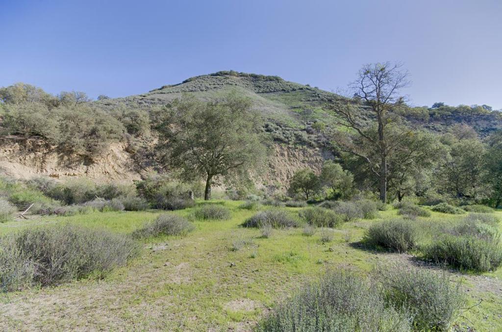 43515 Carmel Valley Road Property Photo 12