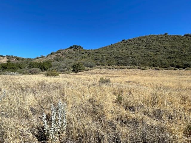 43515 Carmel Valley Road Property Photo 15