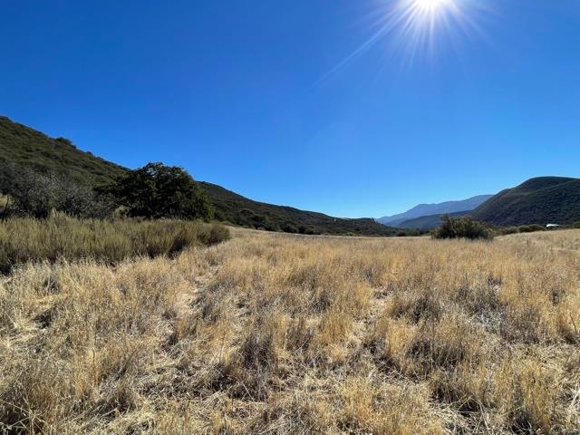 43515 Carmel Valley Road Property Photo 17