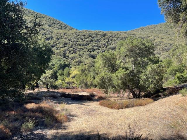43515 Carmel Valley Road Property Photo 18