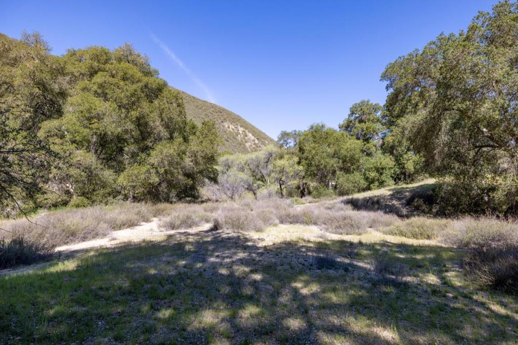 43515 Carmel Valley Road Property Photo 19