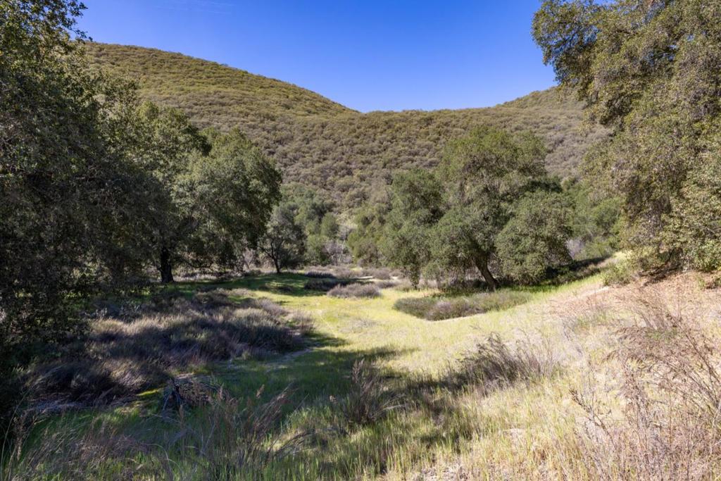 43515 Carmel Valley Road Property Photo 23