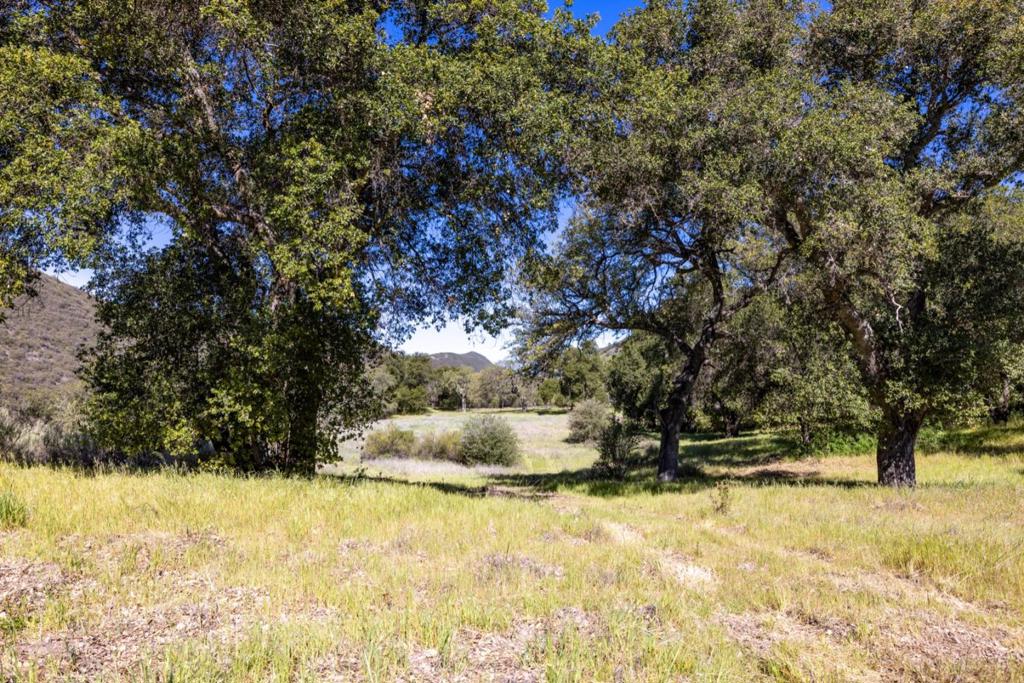 43515 Carmel Valley Road Property Photo 29