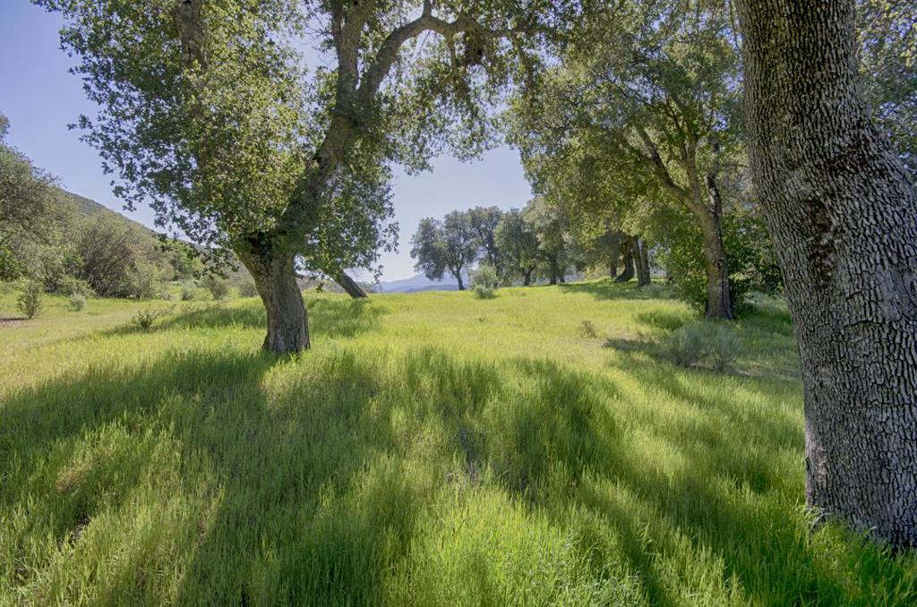 43515 Carmel Valley Road Property Photo 40